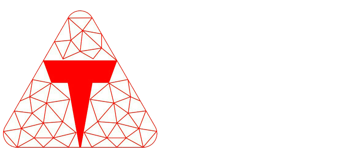 Triple Infotech